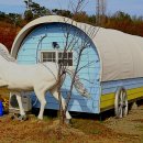 간월도항 이미지