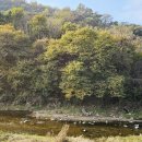 오향목장 이미지