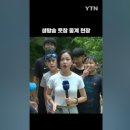 카페연 - 고흥군 천마로 156 | 카페연