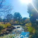 (주)동화택시 | 블로그] 24년 10월 제주 여행 - 둘째날 - 2 제주동화마을,성산브리즈베이호텔,오드리김밥,성산츤츤핫도기