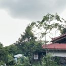 자연과사람들 이미지