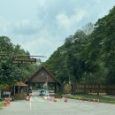 중부-현장-중부-2005 | 카오야이 국립공원 방문기 🌿 입장료·운영시간·나이트 사파리 총정리🦌 야생동물 가득한 사파리 투어 후기!