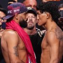 UFC 326 메인이벤트 페이스오프 이미지