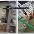 벌말농원 이미지