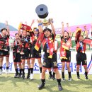 (학교)남강초 이미지