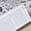 건국대학교 법학전문대학원 | AI 시대 필독서 [창작본능] 리뷰 / 창작과 표절의 차이? 창작본능으로 배우는 카피라이트 전략