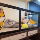 영심이살롱곰곰이호텔 이미지