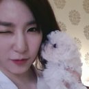 돼지프린스 이미지