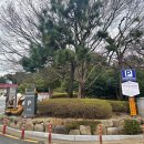 동백공원 공영주차장 내 이미지