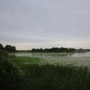 능제근린공원 이미지