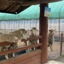 허균+허난설헌기념관 이미지