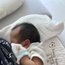 참사랑아파트 | 갈까 산후도우미서비스를 이용할까 고민이라면?(시흥 참사랑어머니회 후기, 둘다 경험한 경산맘 찐후기)