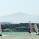 강승완 카카오 검색결과