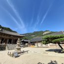 제125차 2025년 11월 부안 내변산 관음봉(424m) 정기산행 안내 이미지