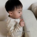 키호