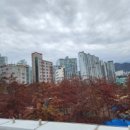 감고개공원작은도서관 이미지