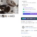 정환2농장 이미지