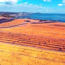 감귤약국 이미지