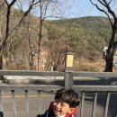 세븐일레븐 울산등억알프스점 이미지