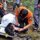 내미로리 이미지