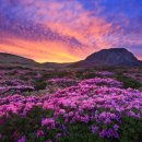 광교중앙로248번길 이미지