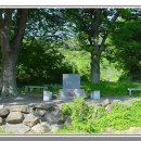 장정리 마을 입구 이미지