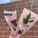 명인플란트치과 | 명인플란트치과 어버이날 이벤트 후기 🌹