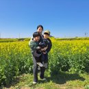 제이에스초이스 이미지