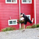 밸마운트 이미지