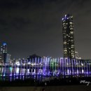 똥그리네집