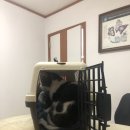 한성동물병원 | [서울]신림동 한성동물병원_허피스(진료비)