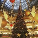 한빛피부 이미지