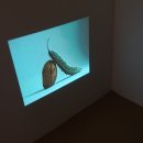 양일로1L 이미지