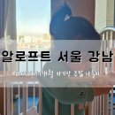 19개월 아기랑 알로프트 서울 강남 후기(+아기침대, 한강뷰, 조식, 한강드론라이트쇼 명당 삼성해맞이공원)