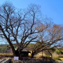 삼가면사무소 이미지