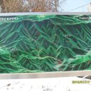 김삿갓면-10 이미지