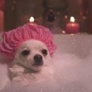 제일여성병원 이미지