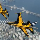 블랙이글 이미지