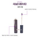 컬러앤래쉬