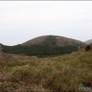 효명목장 이미지