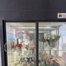 (주) 신기원 팜 | 김해 대동 체험 : 플라워팜팜 튤립 꽃 체험