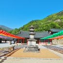 삼화사 티스토리
