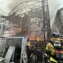 진화농장 이미지