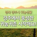 경북 경주시에서 알차고 풍성한 귀농생활 시작해요! 이미지