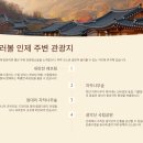 커피크리머 북면T.A점 | 2025 인제 가을꽃축제: 기간, 장소, 입장료부터 핵심 정보 총정리