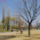 뚝섬한강공원-42 이미지