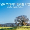케이웨더 주식회사 네이버블로그