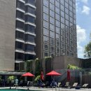 벨라지오호텔 별관 | 3박 4일 싱가포르 여행 일정 기록 (싱가포르 맛집/머라이언파크/가든스바이더베이/유니버셜스튜디오...