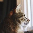 아이러브유헤어 이미지