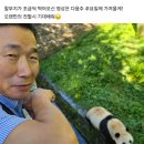 어이 푸덕이들 (푸바오) 들어와. 이미지